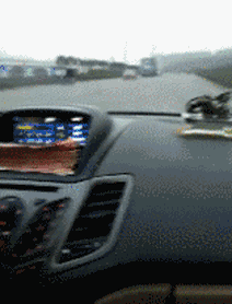 31dc4f47f0359536ded1ad19855a0208.gif